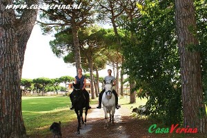 vacanze-cavallo-50